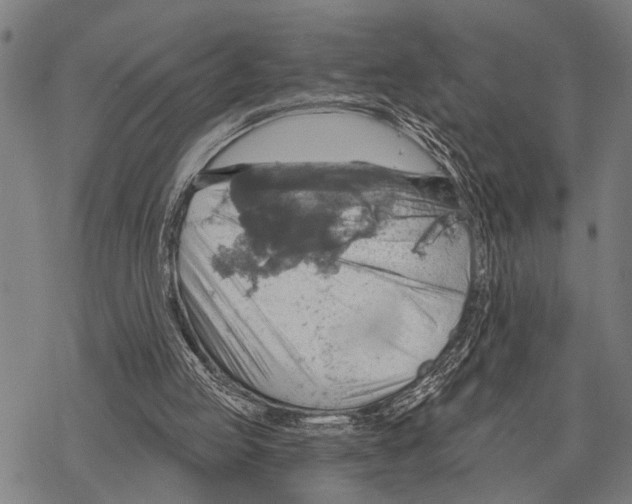 X0000067470053200605051657