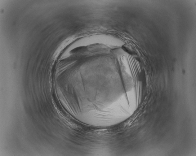 X0000067470054200605051657