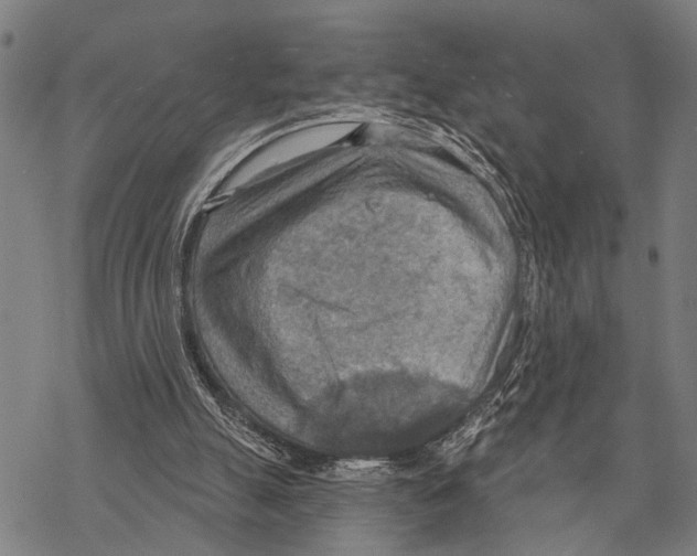 X0000067470055200605051657