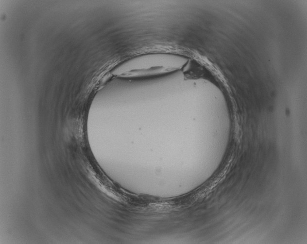 X0000067470057200605051657