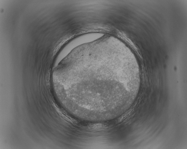 X0000067470058200605051657