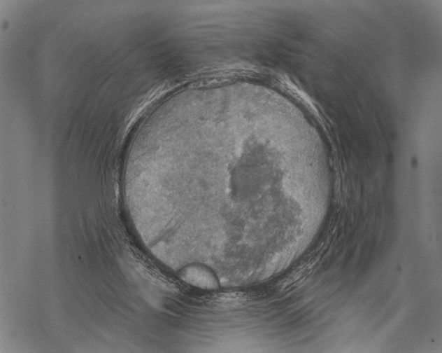 X0000067470059200605051657