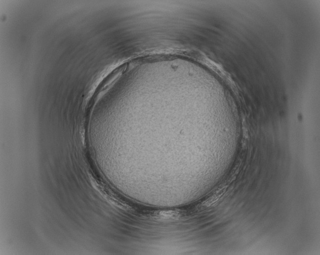 X0000067470060200605051657