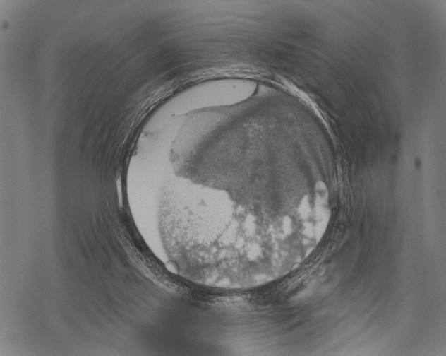 X0000067470061200605051657