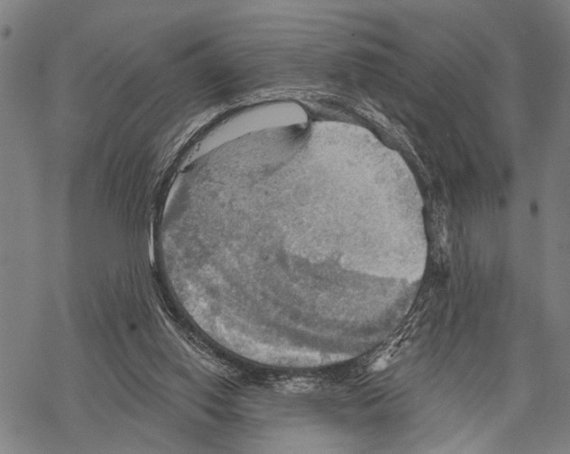 X0000067470062200605051657