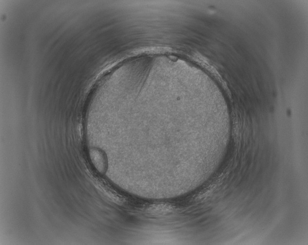 X0000067470063200605051657