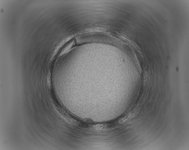 X0000067470064200605051657