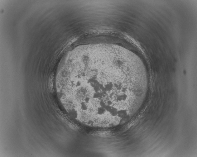 X0000067470065200605051657