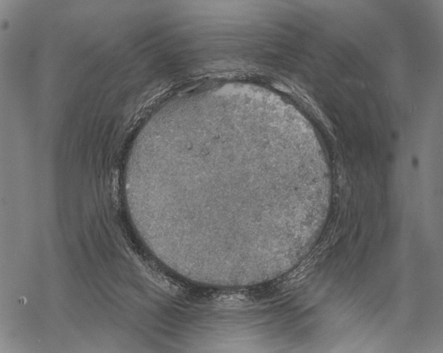 X0000067470066200605051657