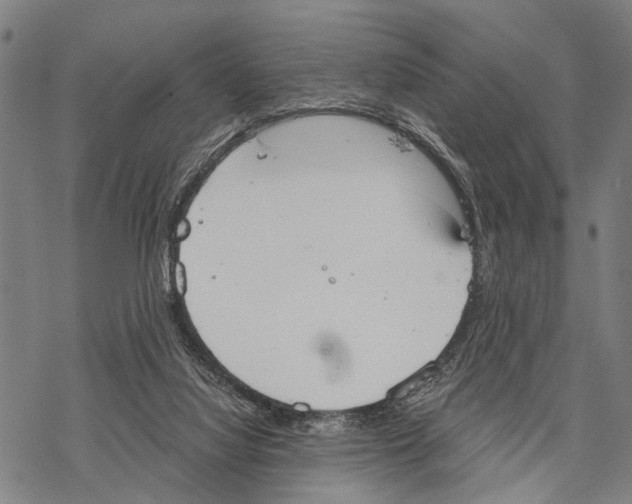 X0000067470068200605051658