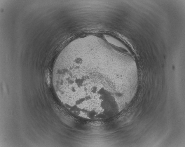 X0000067470069200605051658