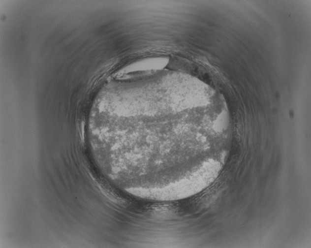 X0000067470070200605051658