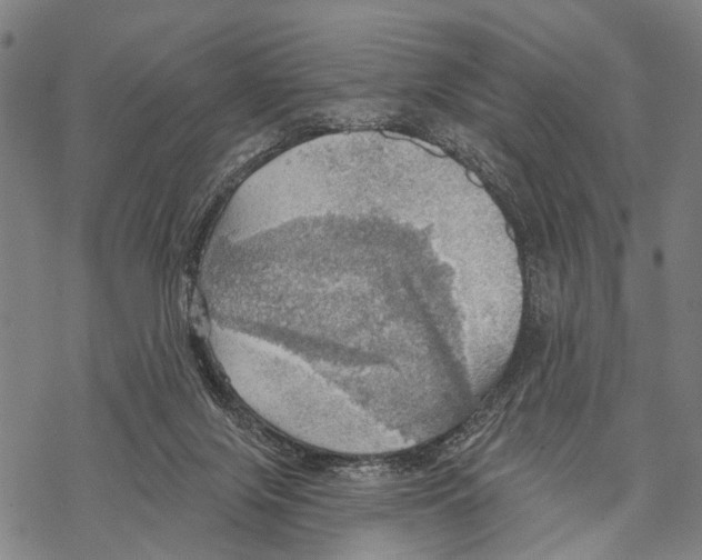 X0000067470071200605051658