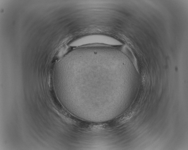 X0000067470072200605051658