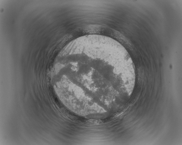 X0000067470073200605051658