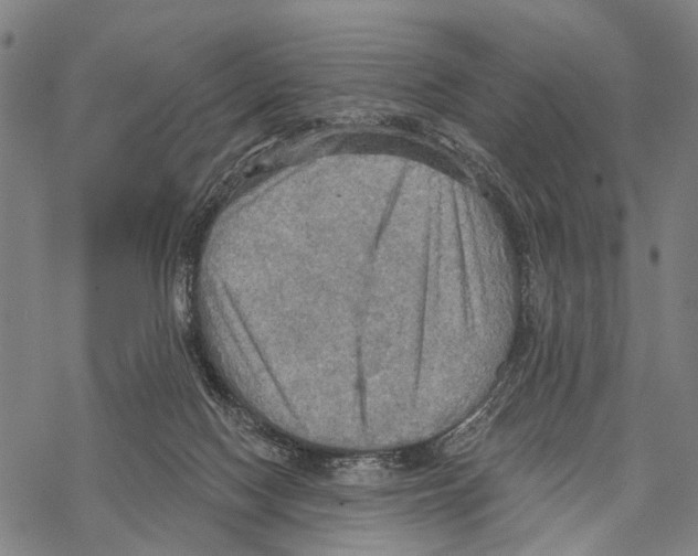 X0000067470074200605051658