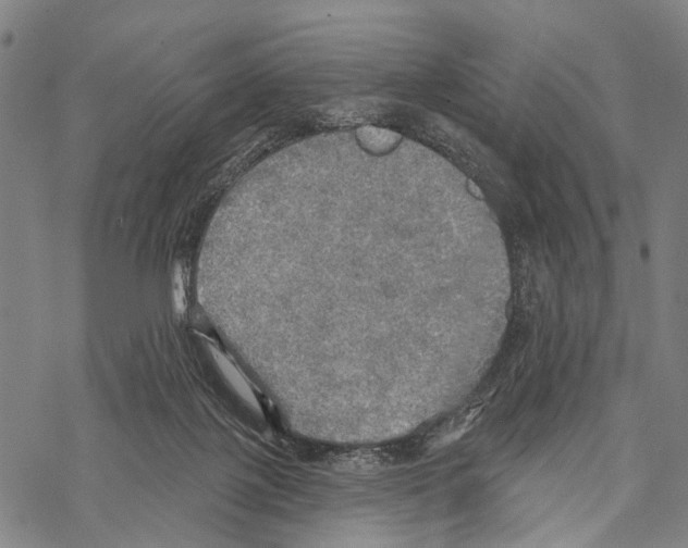 X0000067470075200605051658