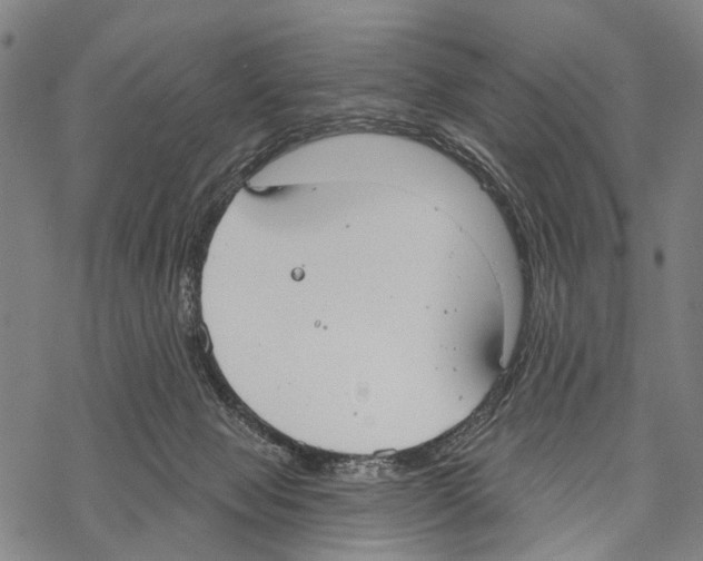 X0000067470077200605051658