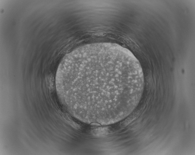 X0000067470081200605051658