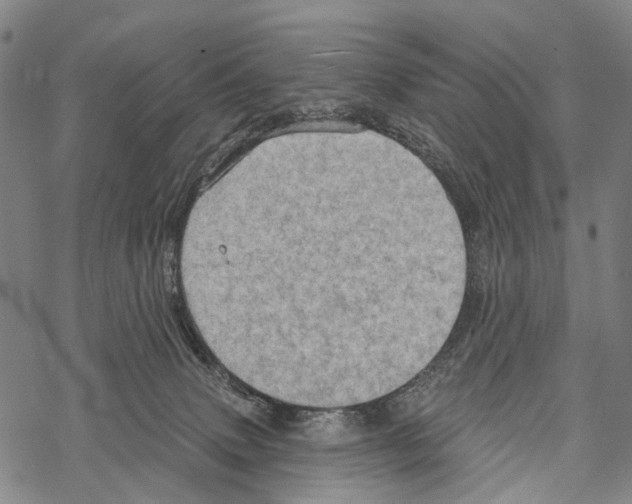 X0000067470083200605051658