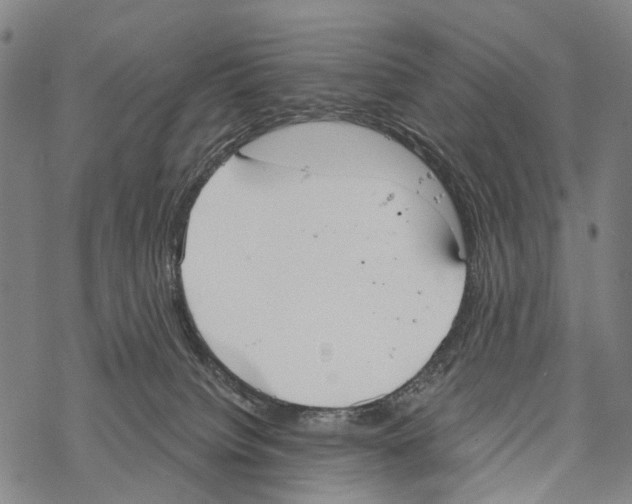 X0000067470084200605051658