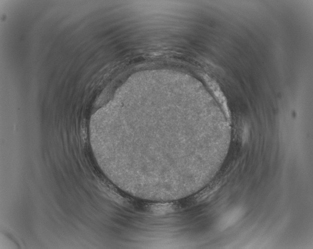 X0000067470085200605051658