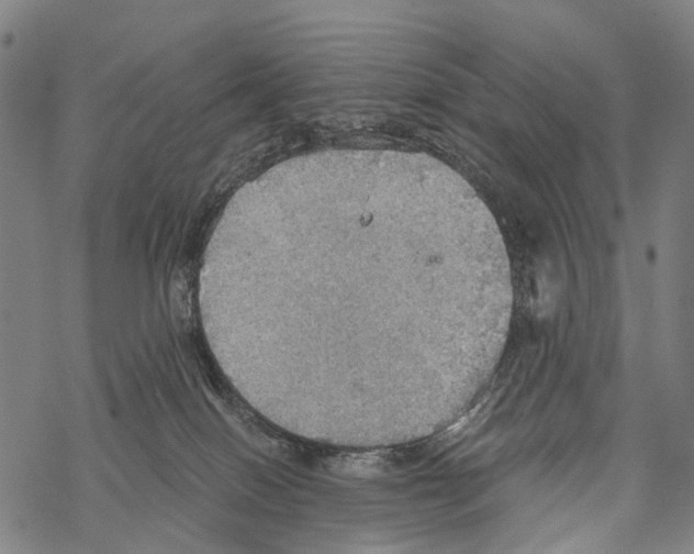 X0000067470086200605051658