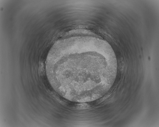 X0000067470087200605051658