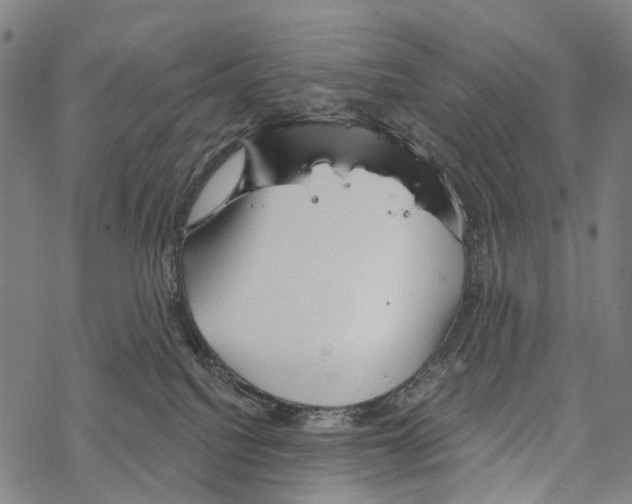 X0000067470088200605051658