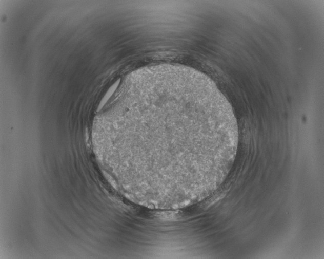 X0000067470089200605051658