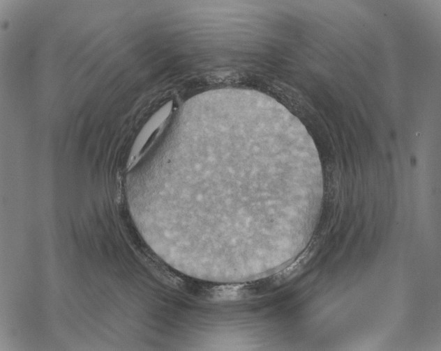 X0000067470090200605051658