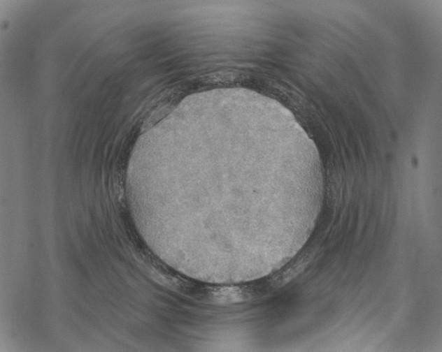 X0000067470091200605051658