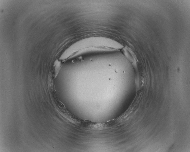 X0000067470092200605051658