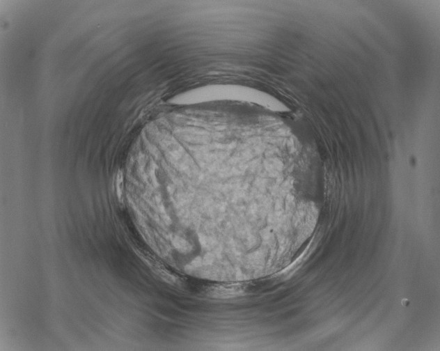 X0000067470094200605051658