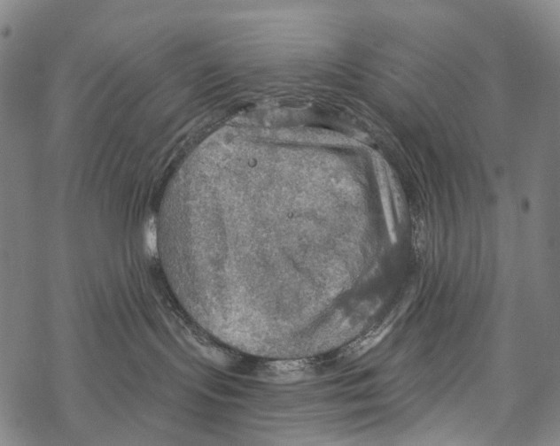 X0000067470095200605051658