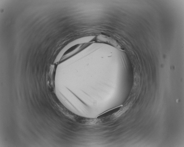 X0000067470096200605051658