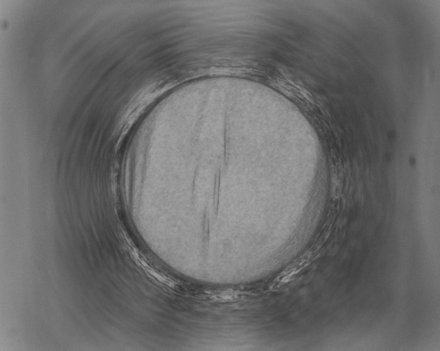 X0000067470098200605051657