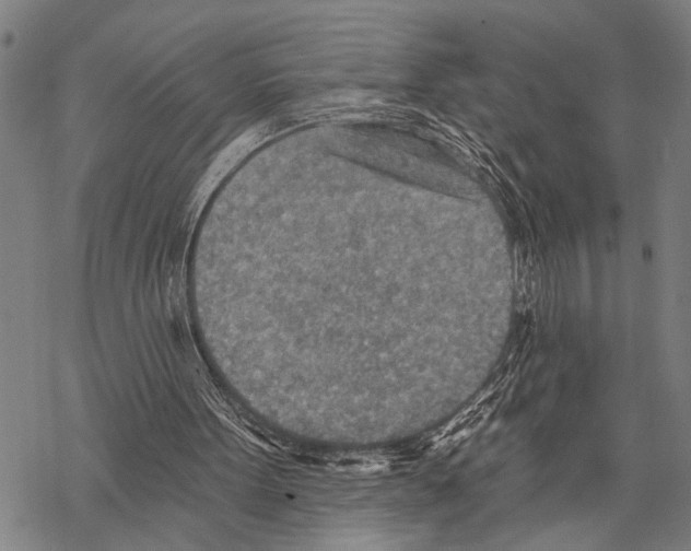 X0000067470099200605051657