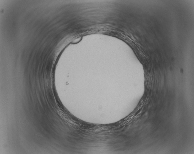 X0000067470100200605051657