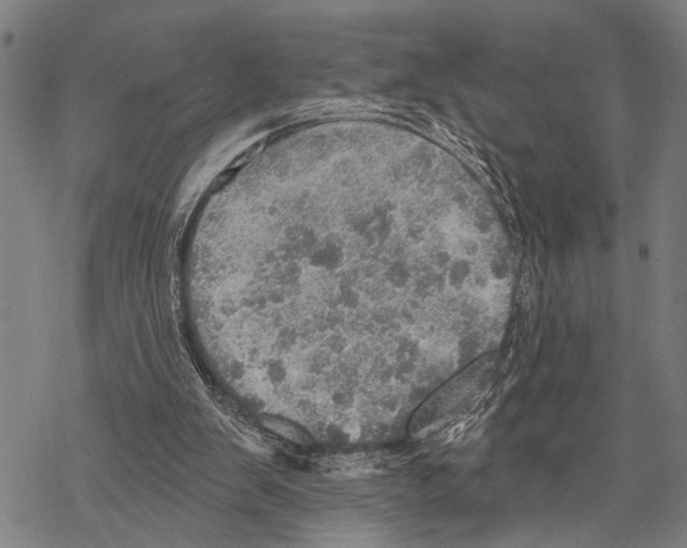 X0000067470103200605051657