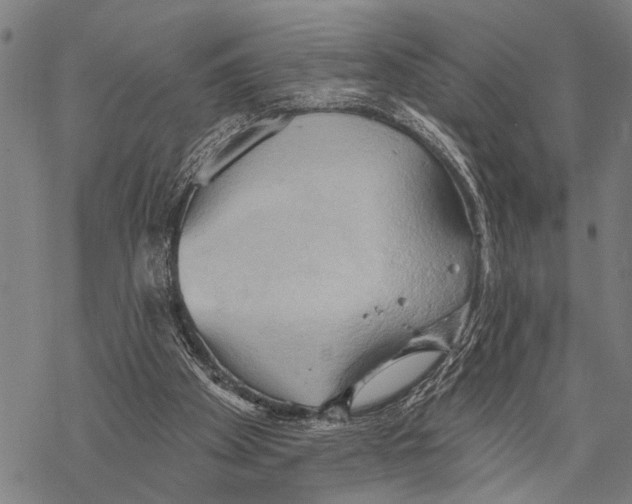 X0000067470105200605051657