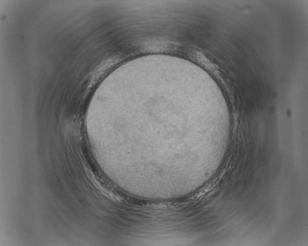 X0000067470106200605051657