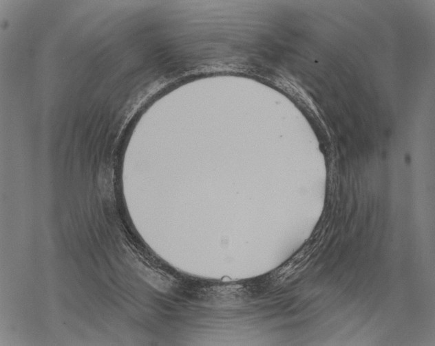 X0000067470108200605051657