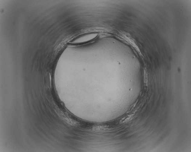 X0000067470109200605051657