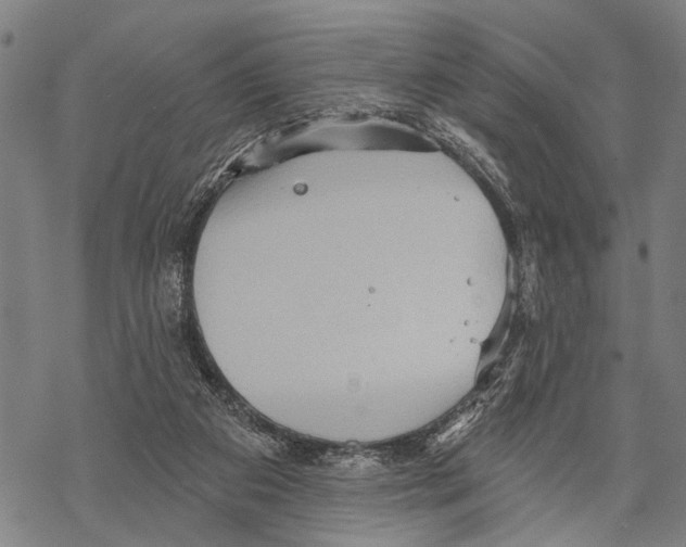 X0000067470113200605051657