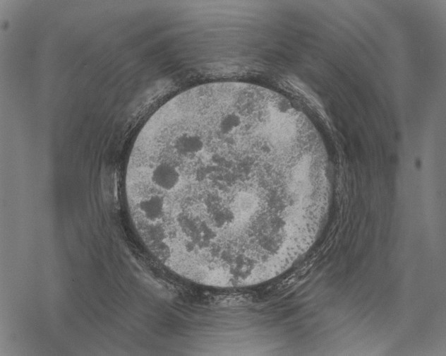 X0000067470115200605051657