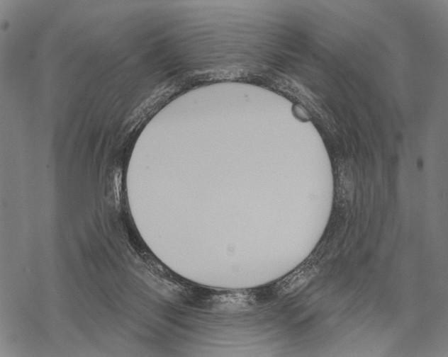 X0000067470118200605051657