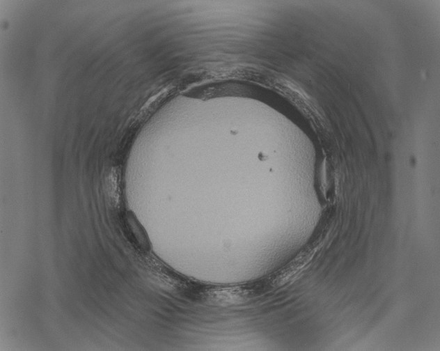 X0000067470121200605051657