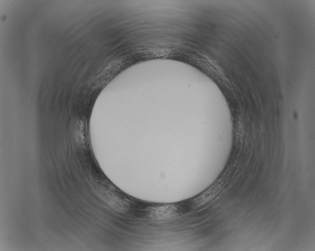 X0000067470122200605051657