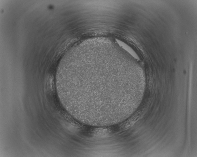 X0000067470123200605051657